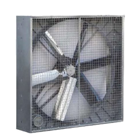 Ventilatore Industriale Box Fan TecnoCooling