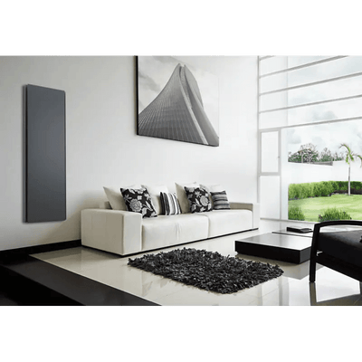Radialight ICON Radiatore e Convettore Elettrico Dual-Therm a Basso Consumo (750 W, Grigio Antracite)